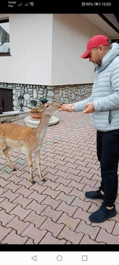 פורונין Agroturystyka Pod Lasem מראה חיצוני תמונה