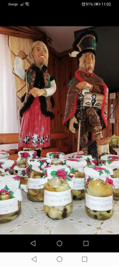 פורונין Agroturystyka Pod Lasem מראה חיצוני תמונה