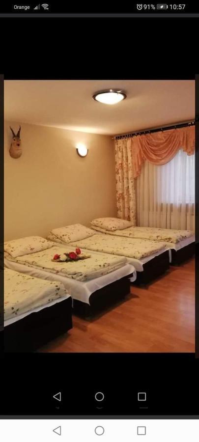 פורונין Agroturystyka Pod Lasem מראה חיצוני תמונה